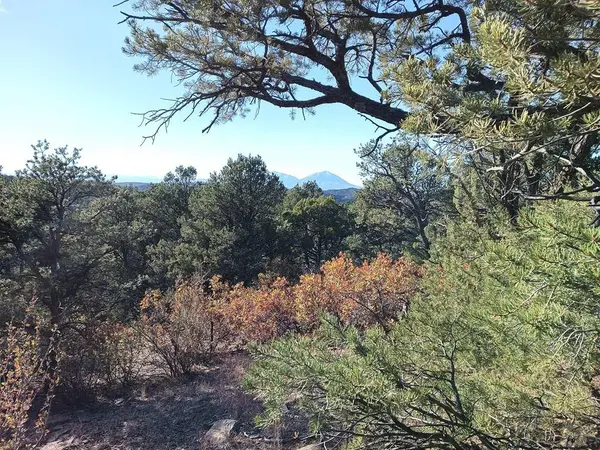LOT 86 Ponderosa Hills, Kiowa, CO 81082