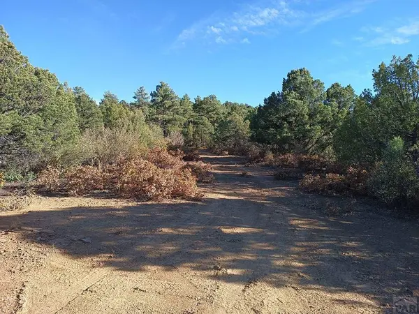 LOT 86 Ponderosa Hills, Kiowa, CO 81082