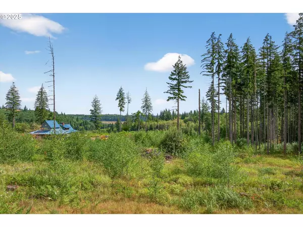 68008 MEISSNER RD, Deer Island, OR 97054