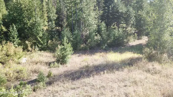 Lot 1 Riverbend RDG, Sagle, ID 83860