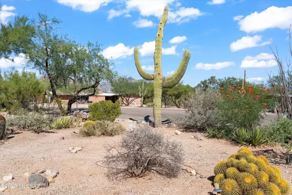 1145 W San Nicolas Circle, Tucson, AZ 85704