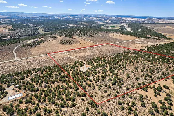 14726 Sage Brush Lane #Y, Glade Park, CO 81523