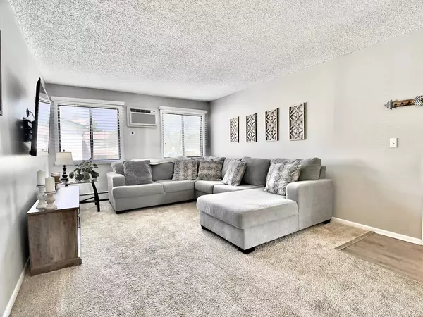 8336 Oak Leaf DR #1704, Woodridge, IL 60517