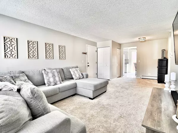 8336 Oak Leaf DR #1704, Woodridge, IL 60517