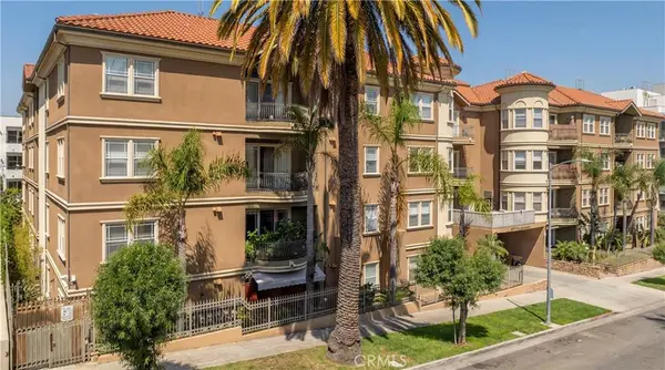 917 S New Hampshire #301, Los Angeles, CA 90006