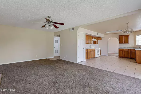 1513 PRICKLEY PEAR DR, El Paso, TX 79912