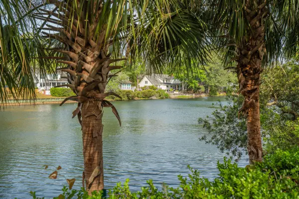 593 Marshgrass Blvd, Mount Pleasant, SC 29464