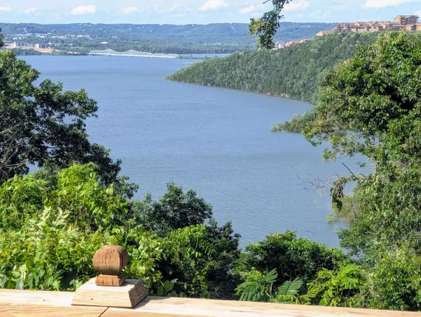 55 Cricket Hill LN, Lampe, MO 65681