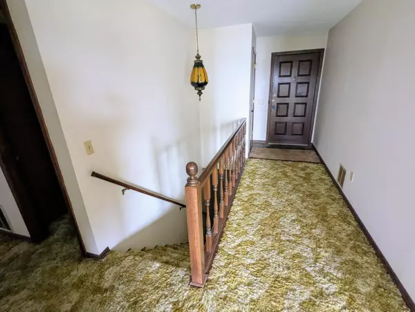 55 Cricket Hill LN, Lampe, MO 65681