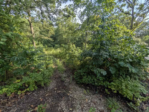 Lot 9 Azalea LN, Branson West, MO 65737