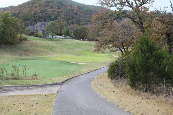 415 Silverwood CIR, Branson West, MO 65737