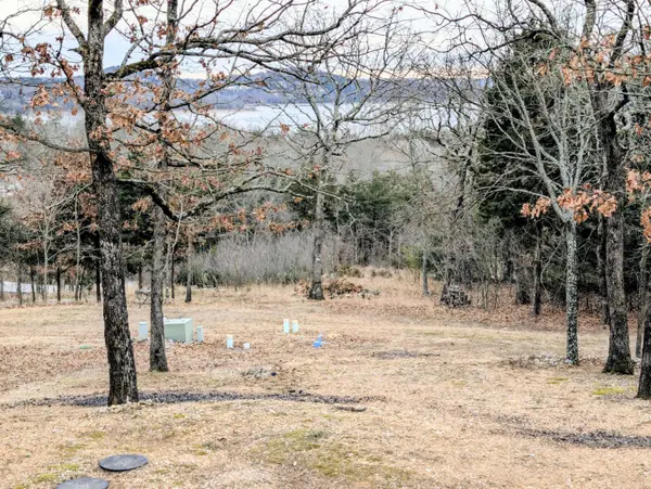 24 Lands End, Kimberling City, MO 65686