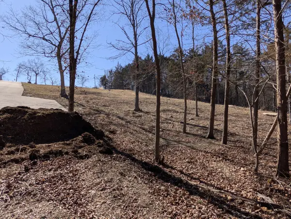 11 Tall Cedar LN, Reeds Spring, MO 65737