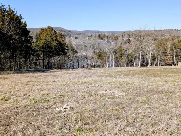 11 Tall Cedar LN, Reeds Spring, MO 65737