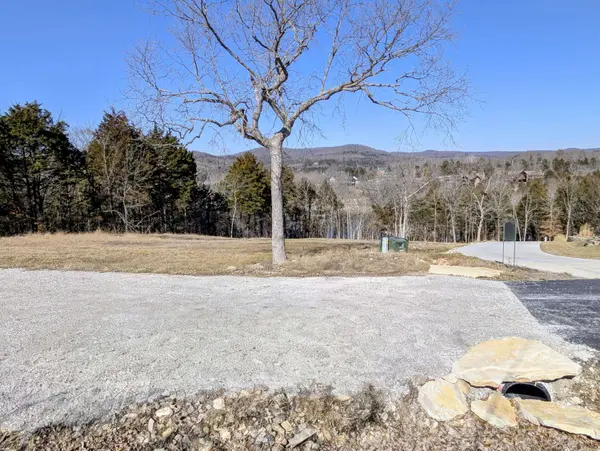 11 Tall Cedar LN, Reeds Spring, MO 65737