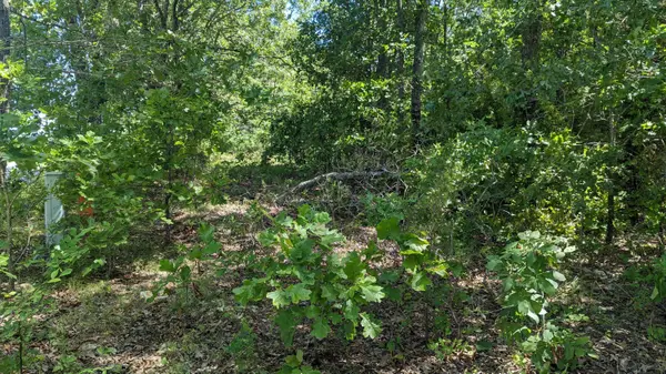 Lot 94 Mo-173, Galena, MO 65624