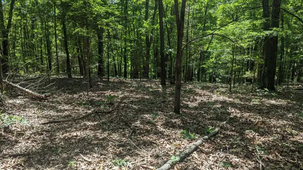 Lot 94 Mo-173, Galena, MO 65624