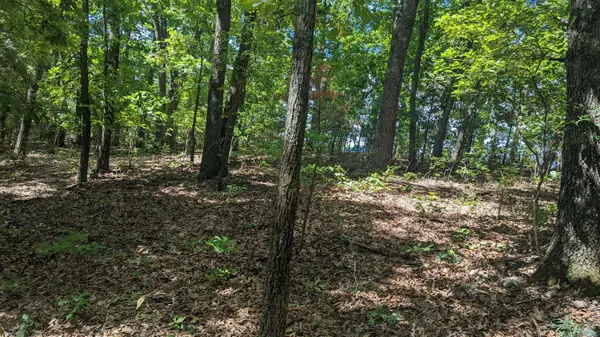 Lot 94 Mo-173, Galena, MO 65624
