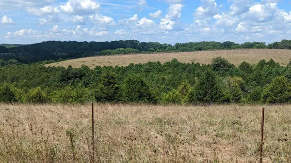 Lot 94 Mo-173, Galena, MO 65624