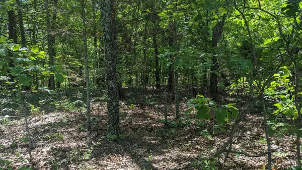 Lot 94 Mo-173, Galena, MO 65624