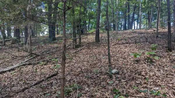 Lot 94 Mo-173, Galena, MO 65624