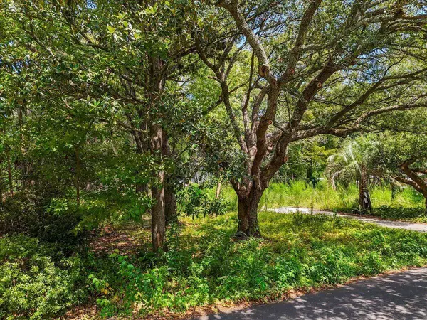 0 Lindberg St #Lot 10a, Charleston, SC 29412