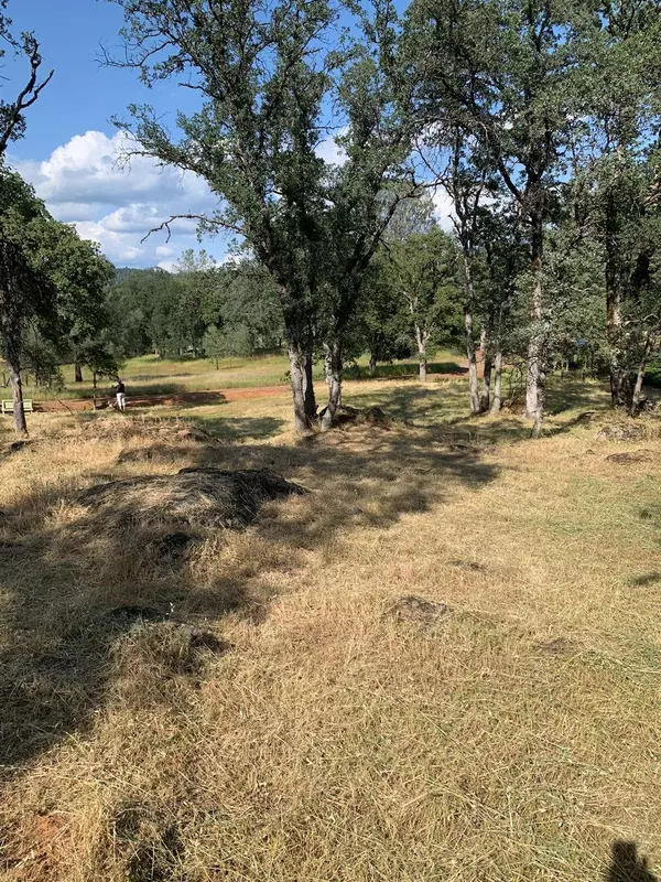 3785 Kelso CT, Auburn, CA 95602