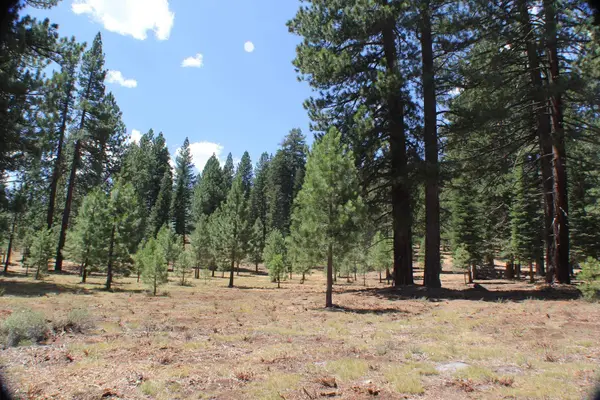 10735 Dogwood, Truckee, CA 96161