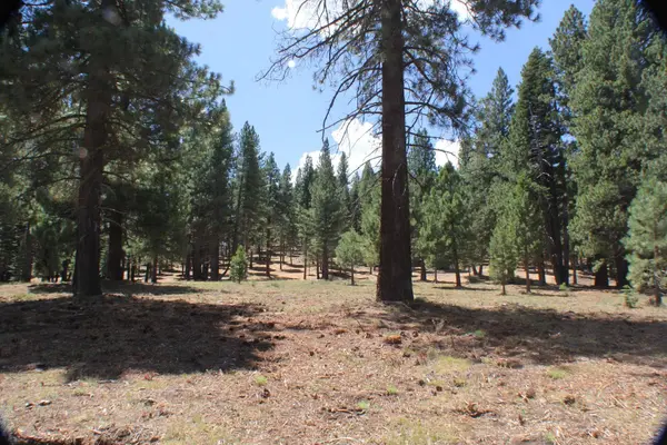 10735 Dogwood, Truckee, CA 96161