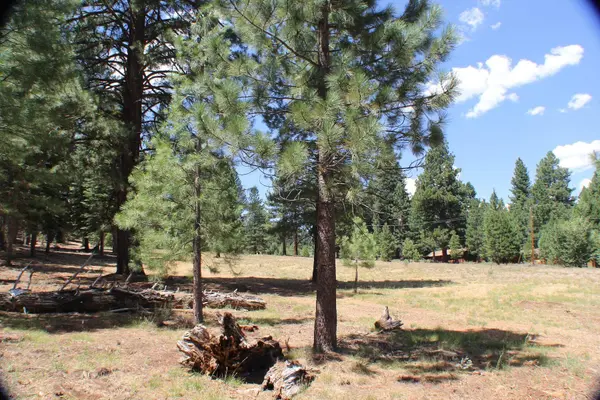 10735 Dogwood, Truckee, CA 96161