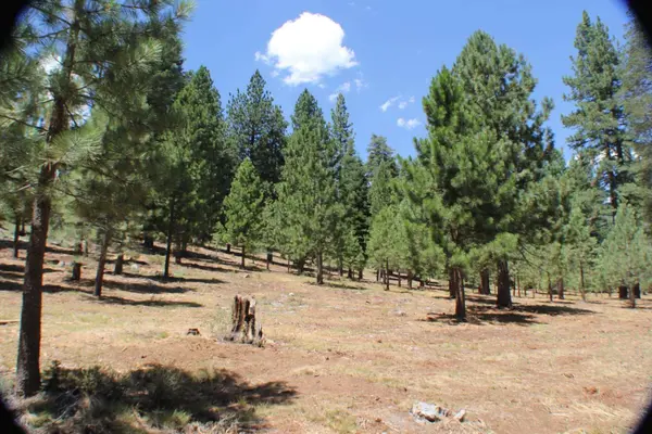 10735 Dogwood, Truckee, CA 96161