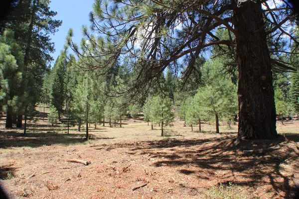 10735 Dogwood, Truckee, CA 96161