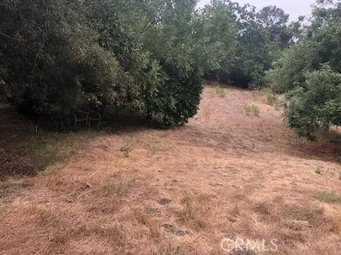 3708 Richardson DR, Los Angeles, CA 91605