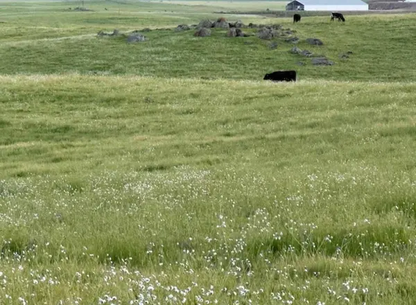 1 N/A, Clovis, CA 93619