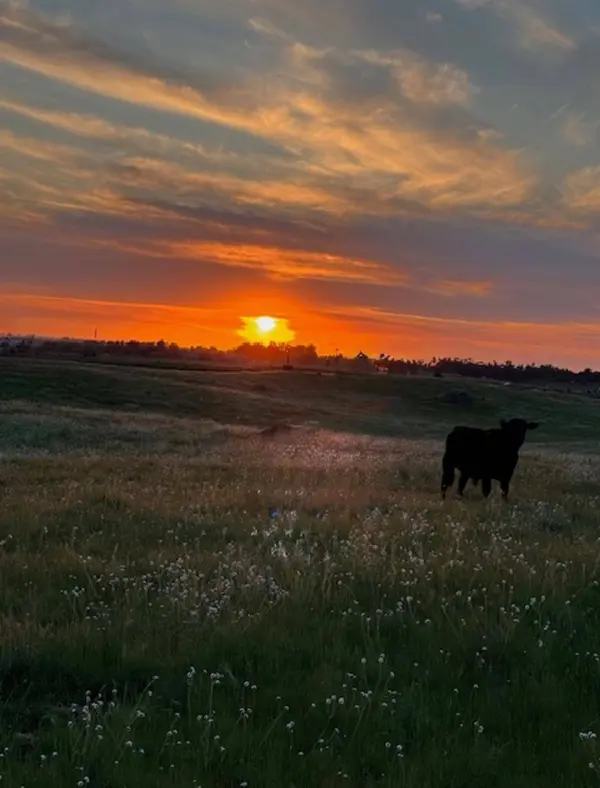 1 N/A, Clovis, CA 93619