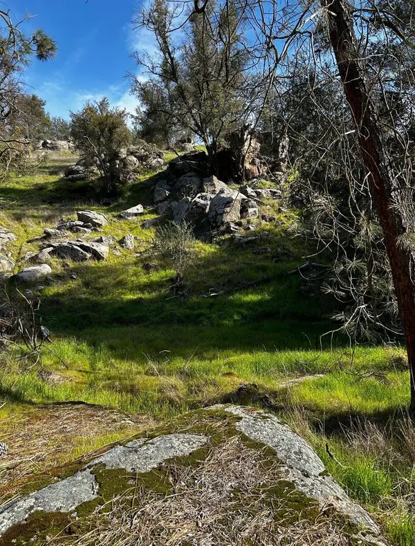 2229 Yosemite Lakes Park, Coarsegold, CA 93614