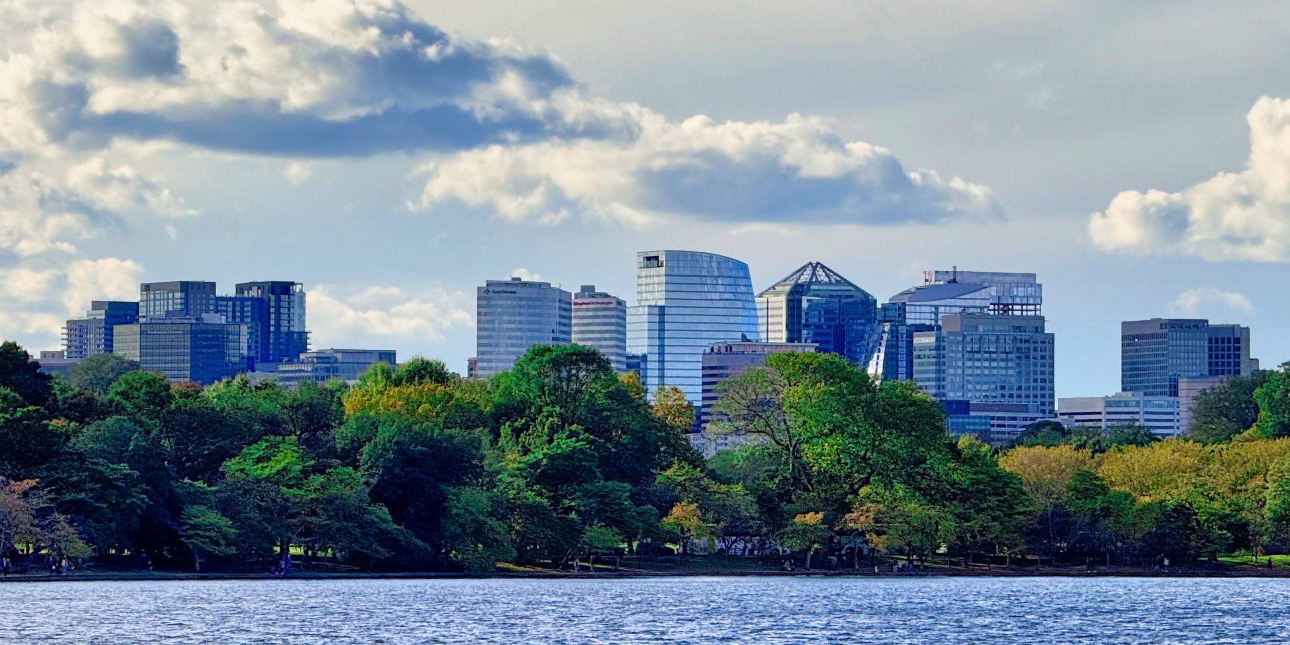 The_Arlington,_Virginia,_city_skyline_(cropped)
