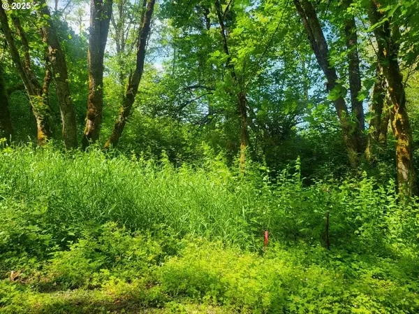 Lot 16-17 Bonneville DR, Scappoose, OR 97056