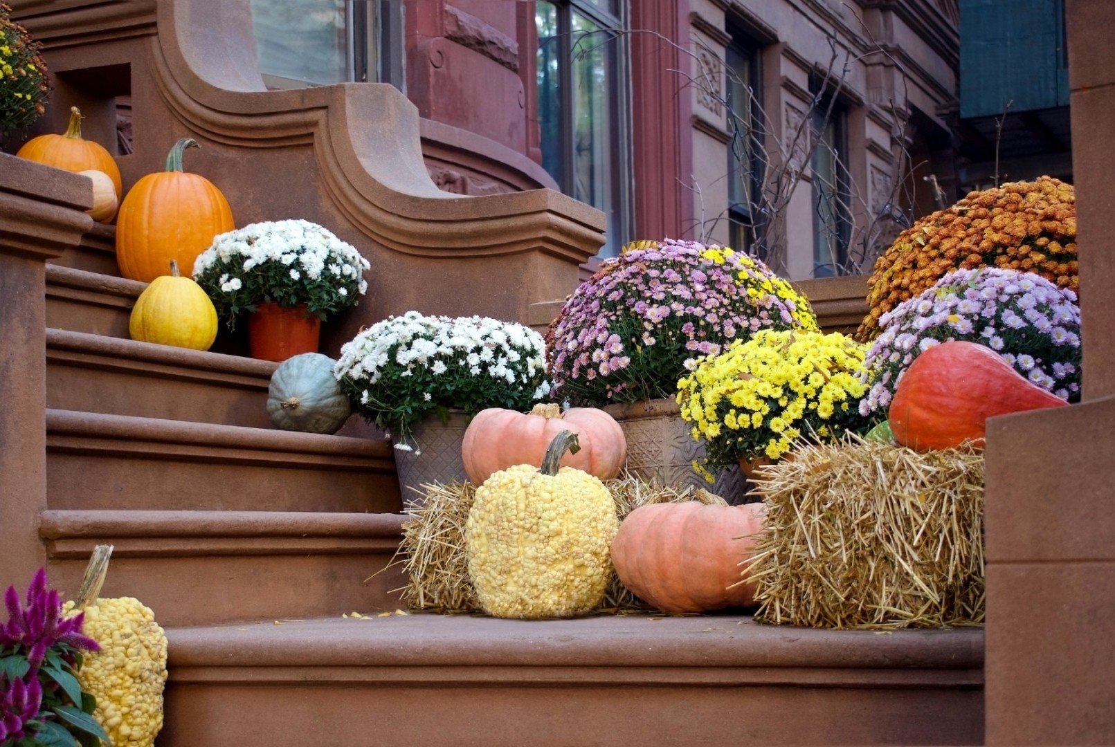 fall stoop with flowers
