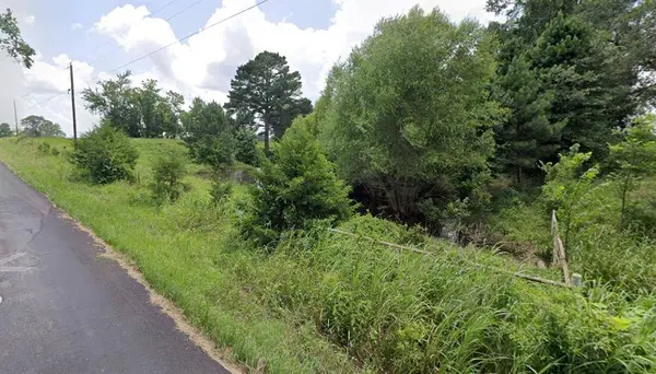 TBD RS COUNTY ROAD 2450 ALBA, Alba, TX 75410
