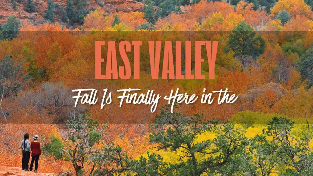 Fall Is Finally Here in the East Valley
