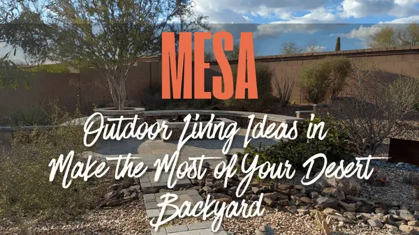The Arizona Lifestyle: Embracing Springtime in Your Desert Backyard,Jerry Elizabeth Sharp