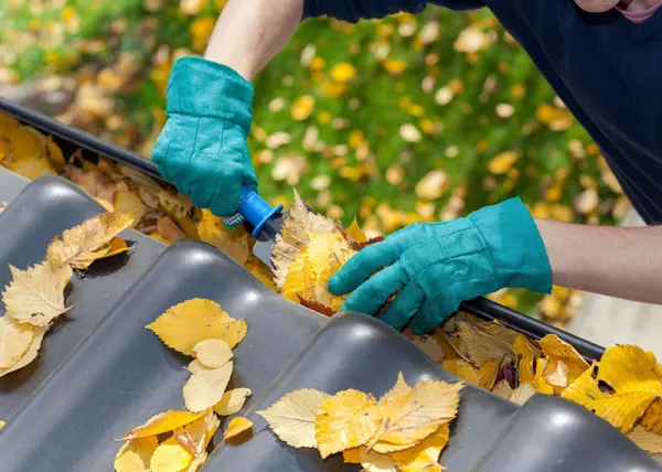 The Top Fall Home Improvement Projects,Denice Landaeta