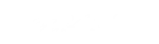 The Florida 100