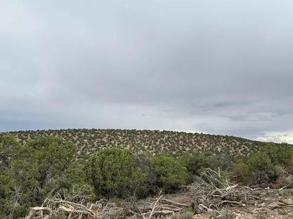 1958 S Harvest LN, Cedar City, UT 84720