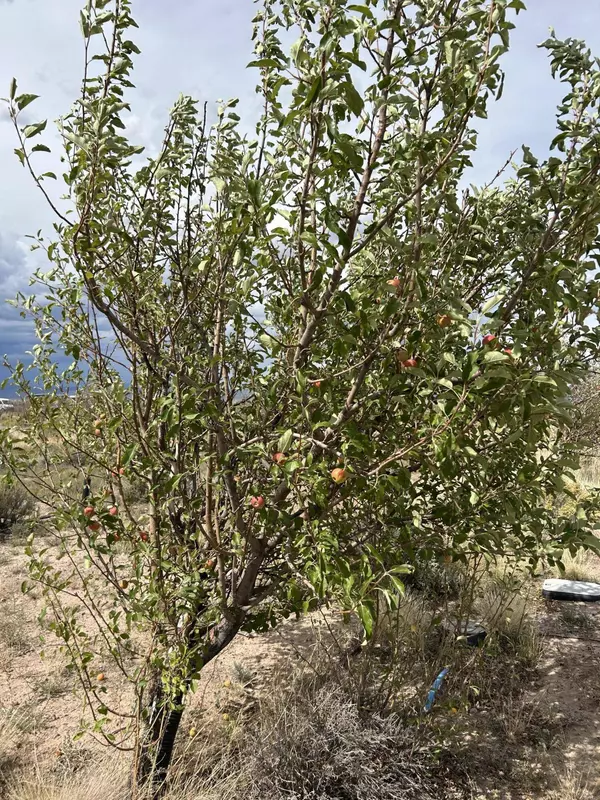 19.6 Acres Beryl with Water & Electric, Beryl, UT 84714