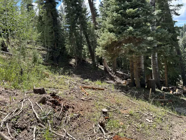 6980 W Kodiak DR 11, Duck Creek, UT 84762