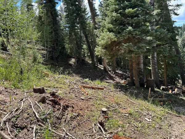 6980 W KODIAK DR #10, Duck Creek Village, UT 84762