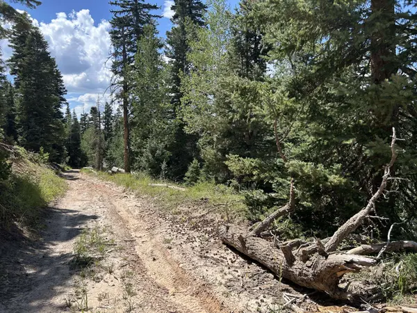 6410 W Kodiak DR, Duck Creek Village, UT 84762