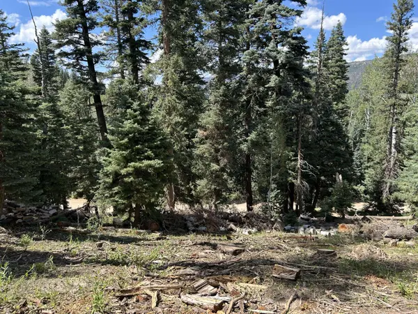 6980 W Kodiak DR 11, Duck Creek, UT 84762